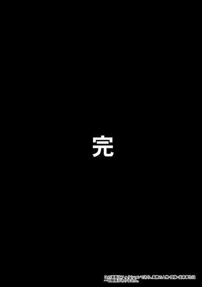 第33页图