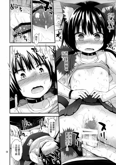 第13頁圖
