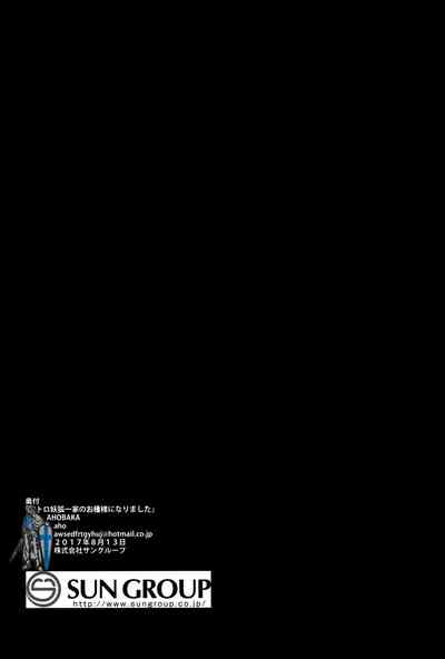 第33頁圖