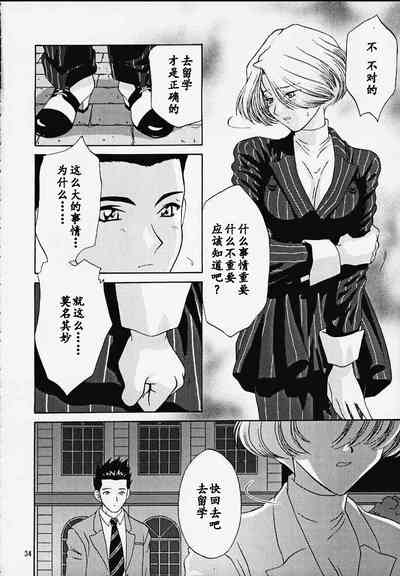 第33頁圖