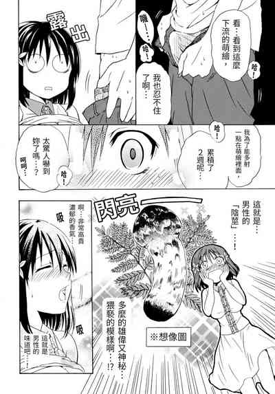 第17页图