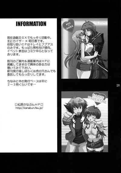 第29頁圖