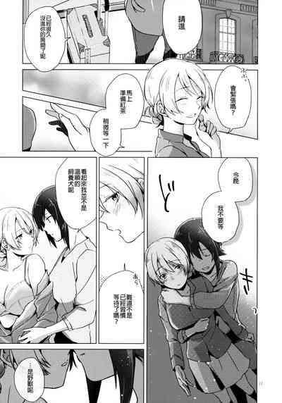 第17页图