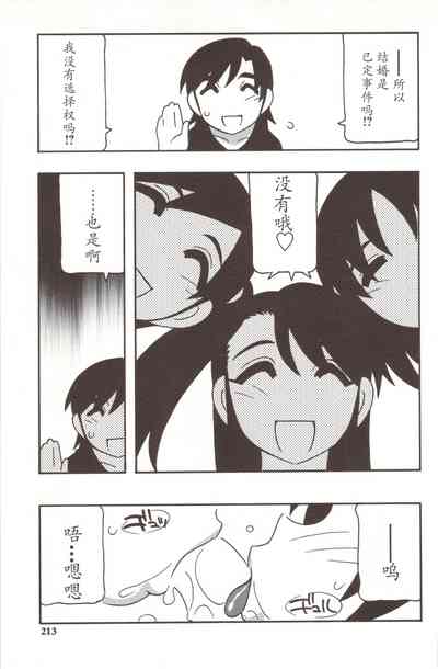 第213頁圖