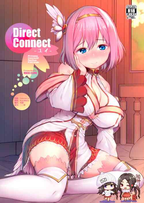 Direct Connect图