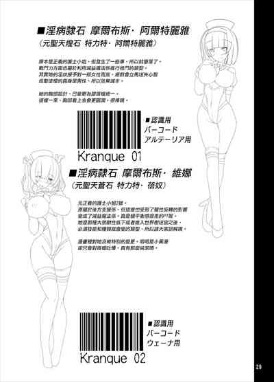 第29頁圖