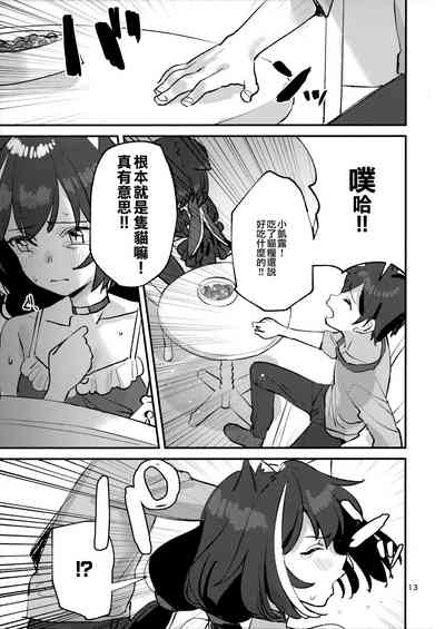 第13页图
