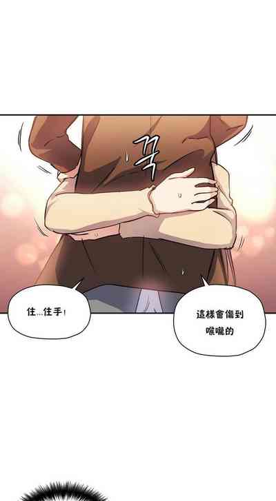 第493頁圖