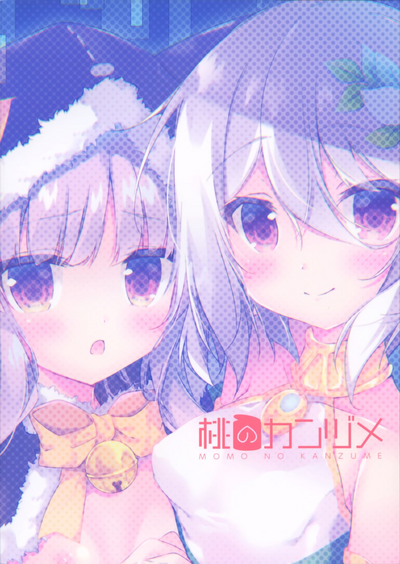 第25页图