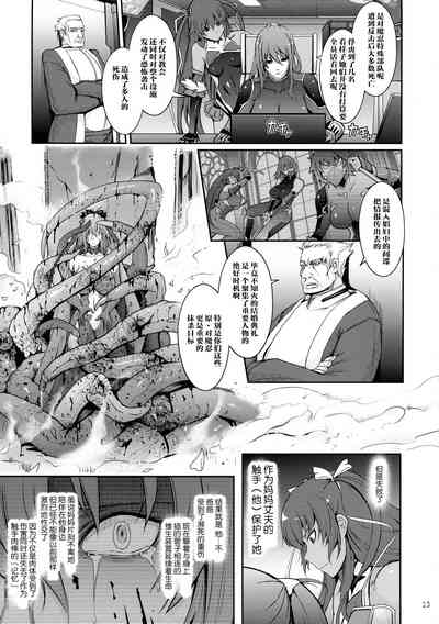 第13页图