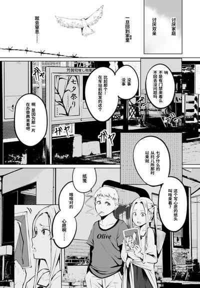 第17页图