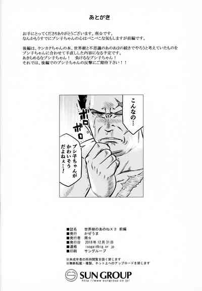 第29页图