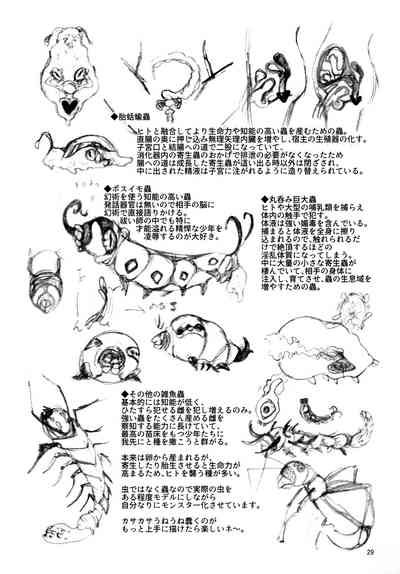第29頁圖