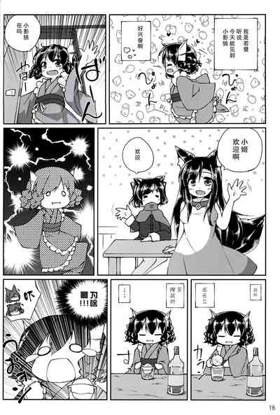 第17页图