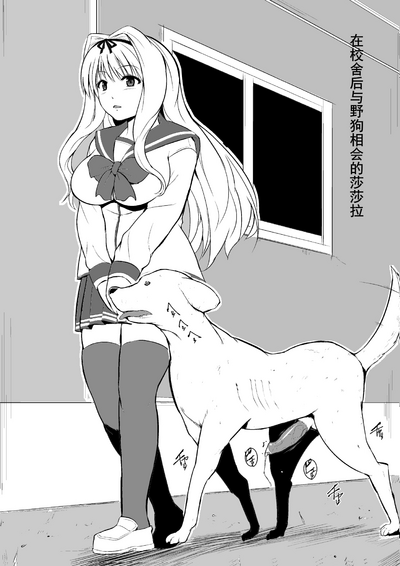 第1頁圖