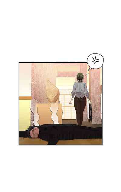 第509頁圖
