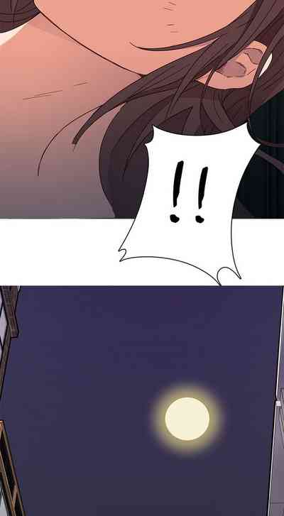 第237頁圖