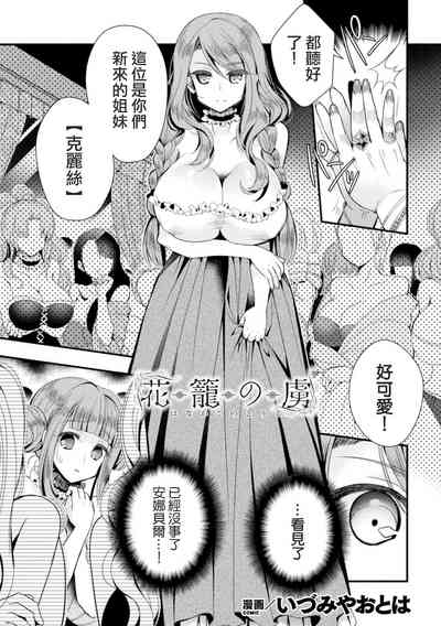 第1頁圖