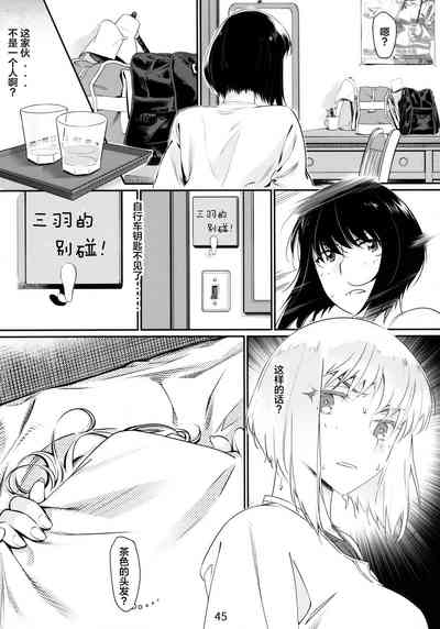 第45頁圖