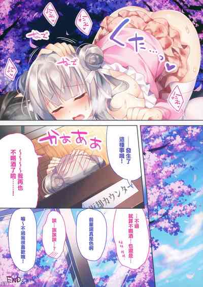 第17页图