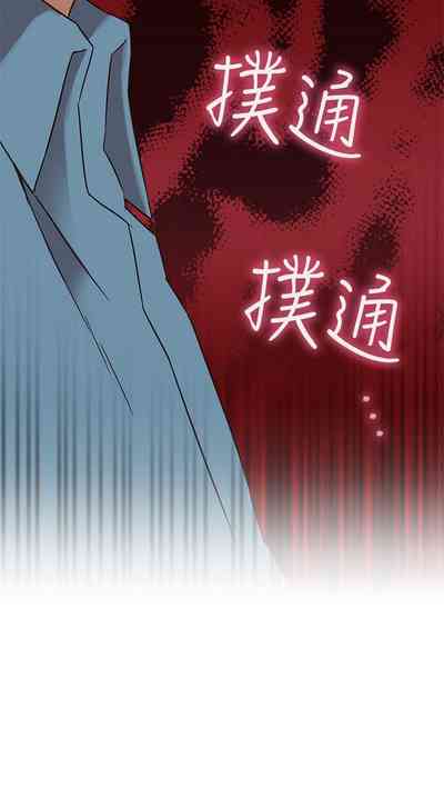 第337頁圖