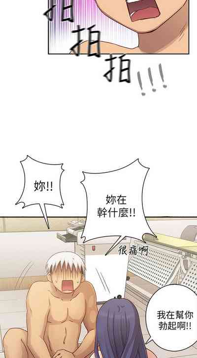 第489頁圖