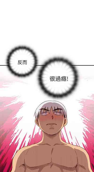 第509頁圖