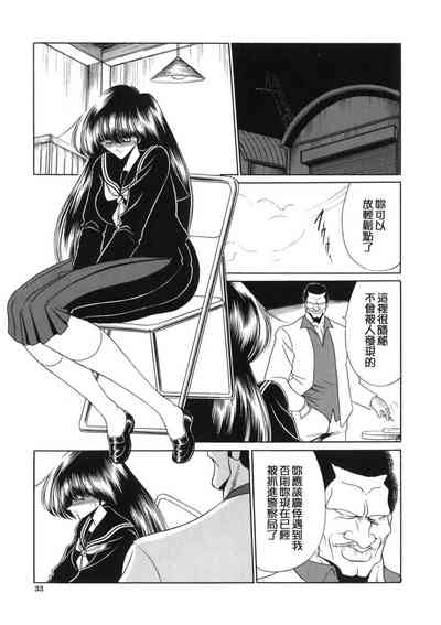 第33页图