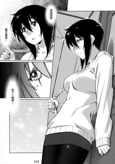 第113頁圖
