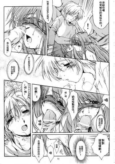 第25頁圖