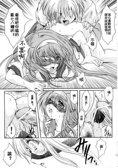 第29頁圖