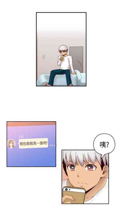 第509頁圖