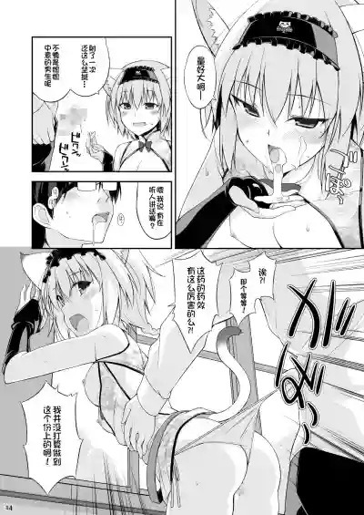 第13页图