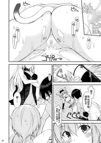 第17页图