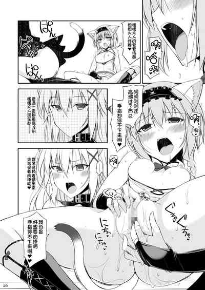 第25页图