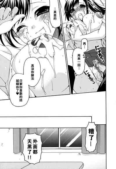 第33页图