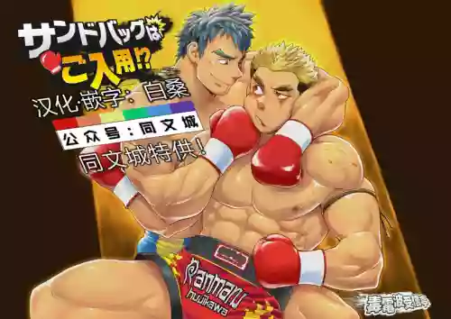 サンドバッグはご入用！？圖