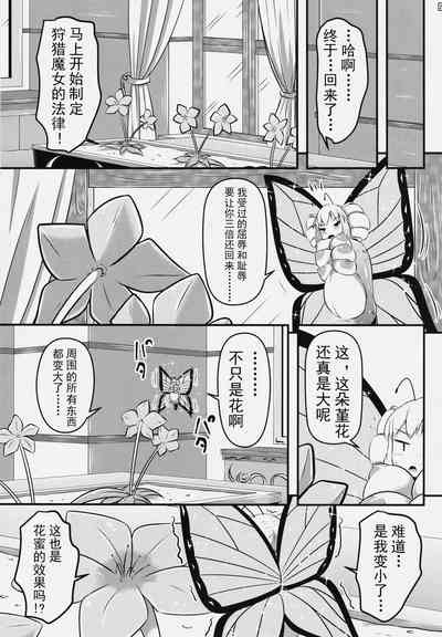 第53頁圖