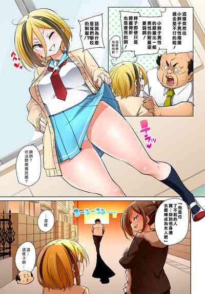 第381頁圖