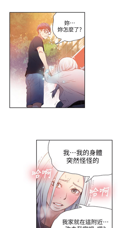 第293頁圖