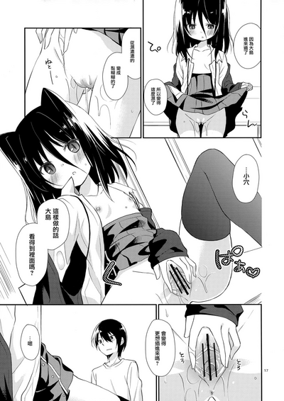 第17页图