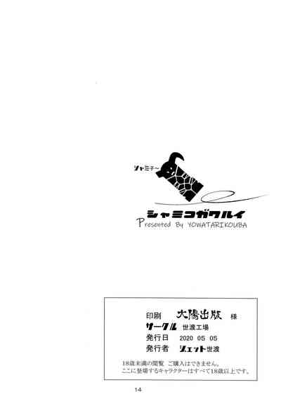 第13頁圖