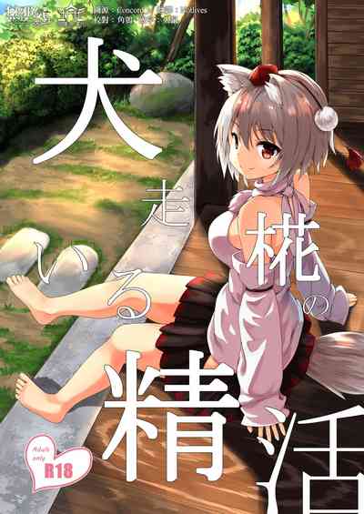 第1页图