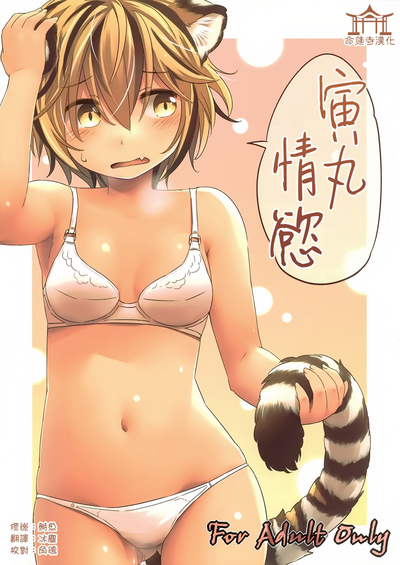 第1頁圖