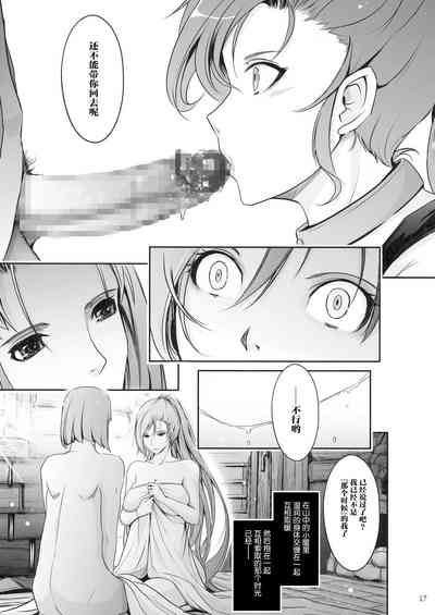 第17页图