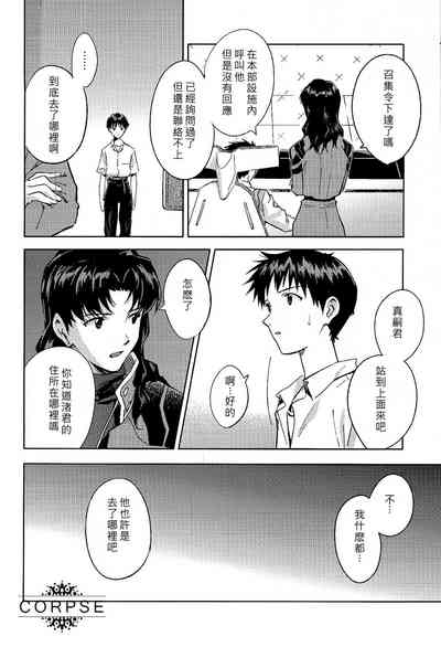 第13页图