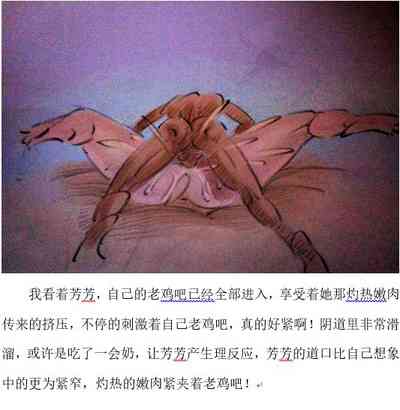 第13页图