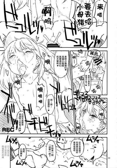 第33页图