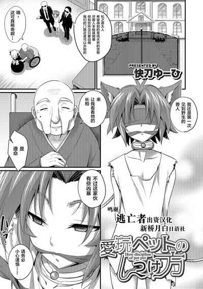 第1页图