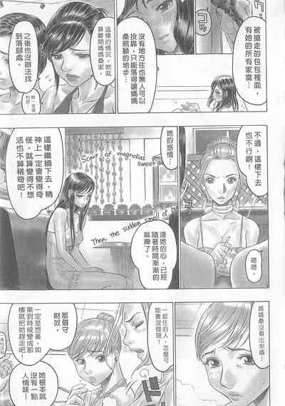 第61頁圖